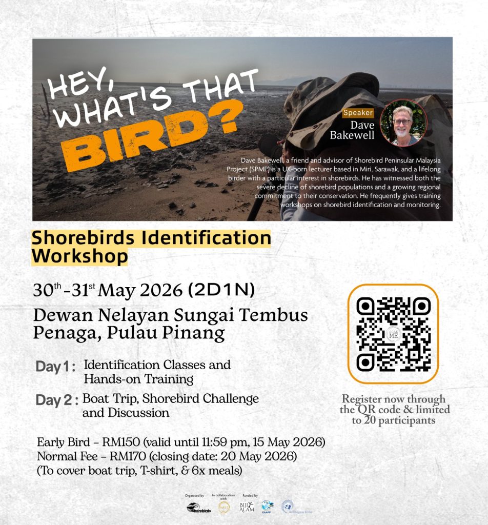 Whats That Bird Workshop